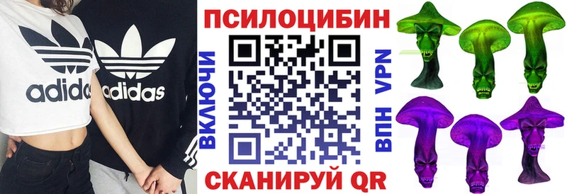 Псилоцибиновые грибы MAGIC MUSHROOMS  закладки  это какой сайт  Протвино 